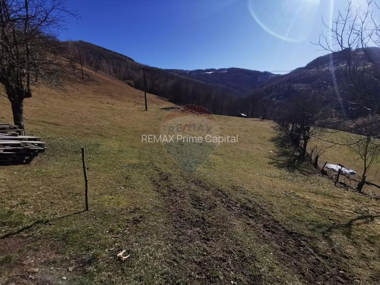 De vânzare teren intravilan 10,100 mp, cu anexă, Munteni - 7
