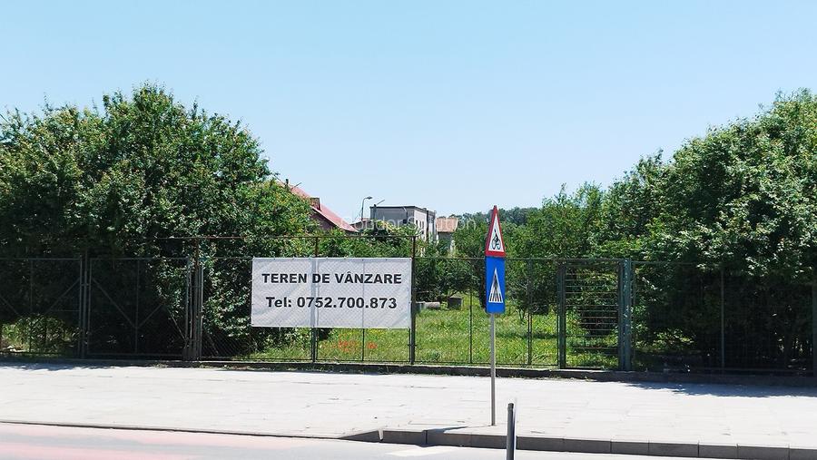 Vânzare teren 6000 mp în orașul Măgurele - 5