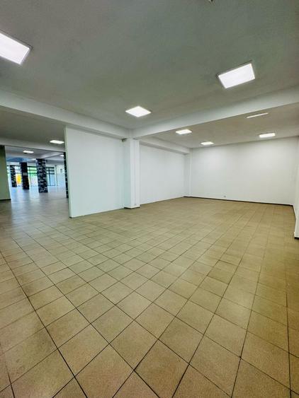 Trafic Micalaca de închiriat spațiu comercial P+E cu Depos. + Parcare