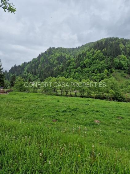 Teren intravilan - Rucar - Satic - 1775 mp - la strada principala - deschidere - 14