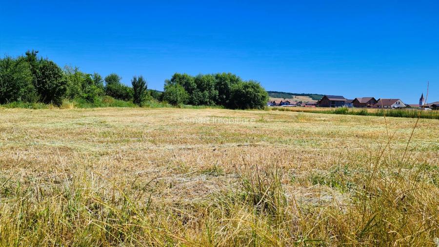 Teren de 4000 mp intravilan in Cristian - 2