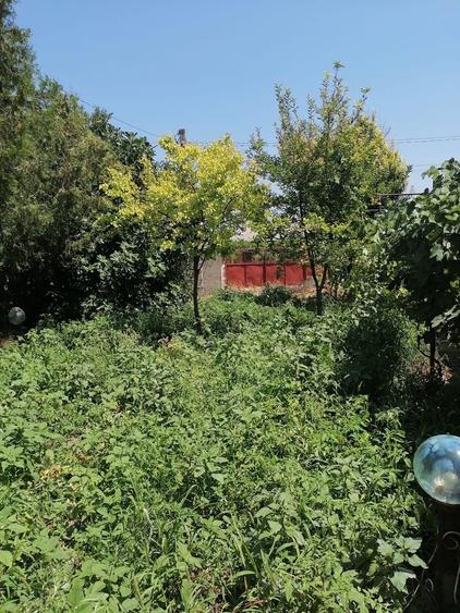 Casa renovabila cu teren mare central Techirghiol