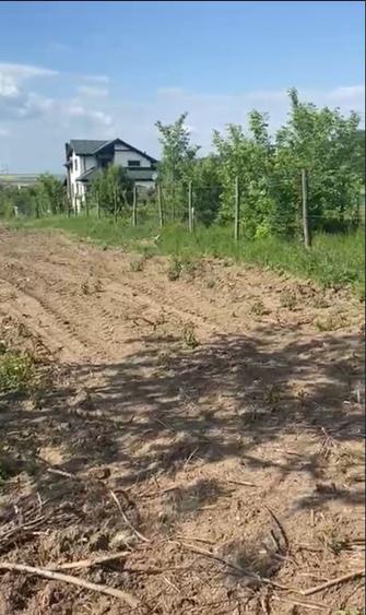 Teren de vanzare Comuna Comana-Giurgiu