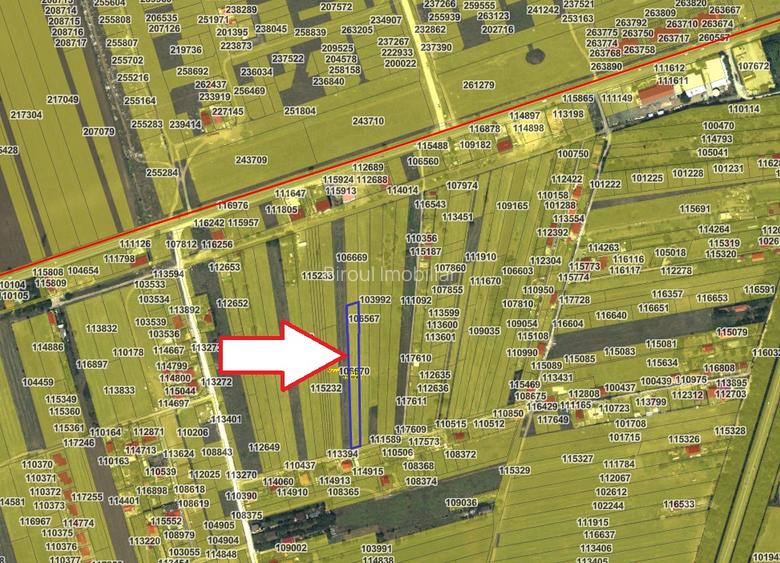 Teren Intravilan 2.500 mp – Lazu | Ideal Dezvoltare Rezidențială - 3