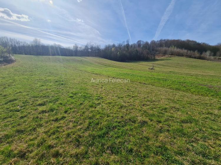Proprietar vand casa+ teren 13000mp, Steia, Tomesti, jud. Hunedoara, 20km de Bra - 8