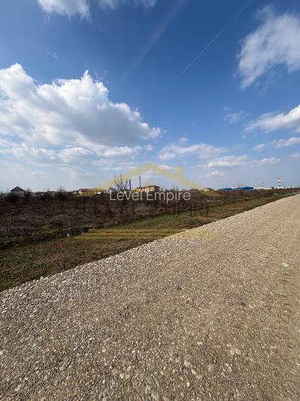Teren Intravilan 324 MP Pantelimon Cernica Strada Papadiei Utilitati Comision 0 - 3