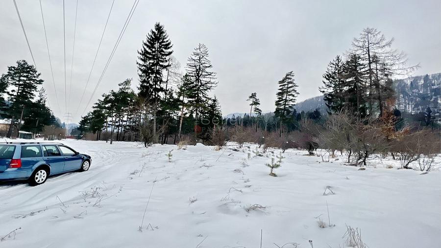 Teren intravilan - Sacele - Brasov