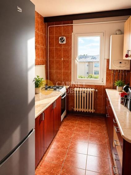 PODU ROS - 3 CAMERE - FARA RISC - MOBILAT SI UTILAT