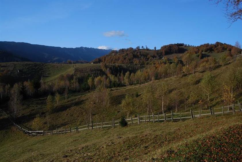 Vand teren Arges in Dambovicioara 12 150 mp vedere Piatra Craiului