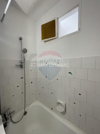 Apartament cu 1 camera in Micalaca - 5