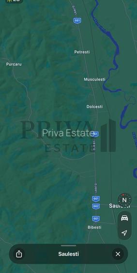 Padure steraj si fag (2ha, 2,4ha, 3,8ha, 9,11ha, 9ha) - 2