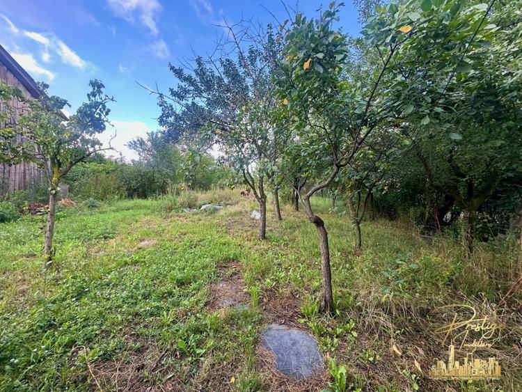 Casa cu anexe si teren de 959 mp de vanzare in Tinca - Bihor