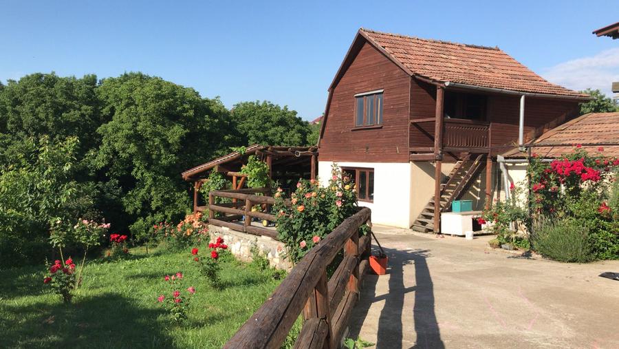 Vand sau schimb casa 4 camere cu 2600 mp teren, Central, Reghin, Mures