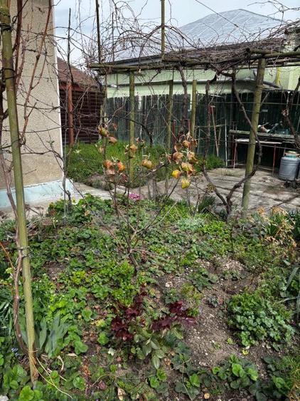 Casa, 4 camere, 144 mp, zona Buna Vestire