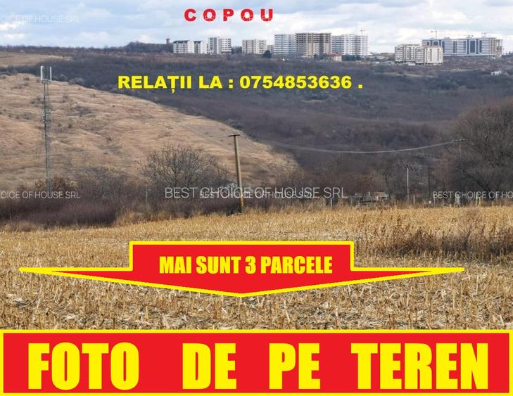 Pacurari-Platoul Beldiman , 4 KM DE LA POPAS PACURARI,ideal INVESTITIE - 4