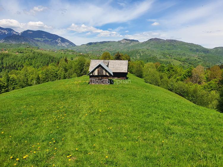 Teren Drumul Carului 3.8 ha