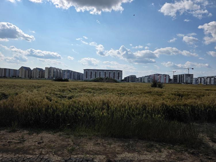 Teren de vanzare Popesti Leordeni,str Scolii