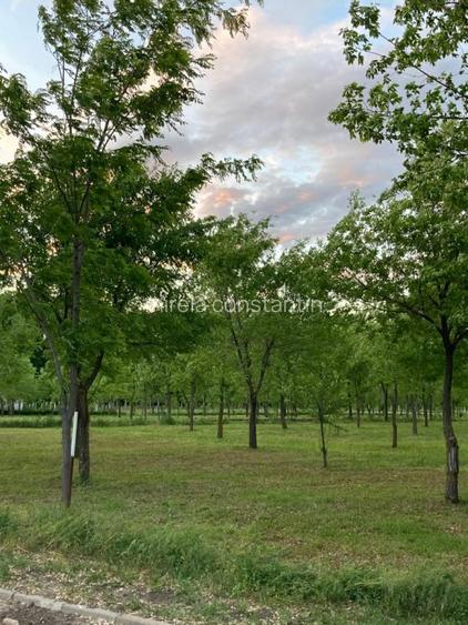 Loturi constructie intre 80-95 Euro/mp - Afumati, Strada Padurii - 9
