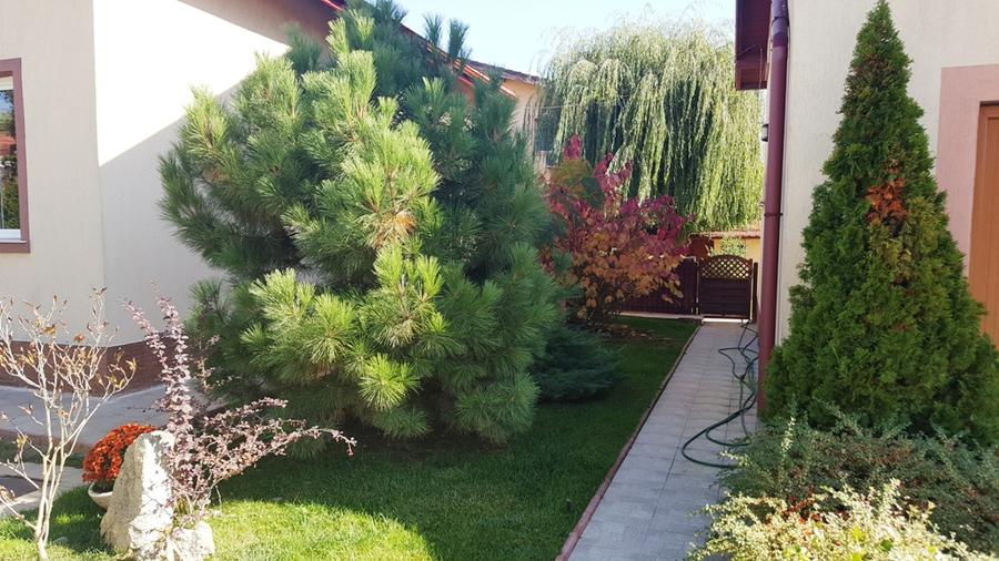 Drumul Negru - Pipera, vila P+1E, locatie linistita
