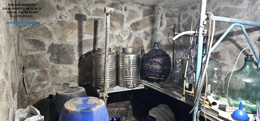 Casa cu livada, piscina si teren de 1600 mp, Piatra Neamt-zona Ciritei