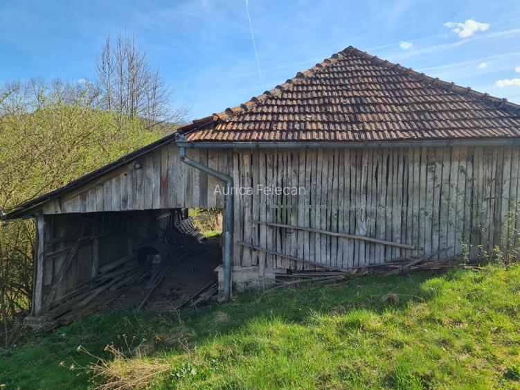 Proprietar vand casa+ teren 13000mp, Steia, Tomesti, jud. Hunedoara, 20km de Bra - 6