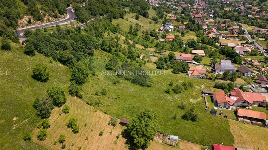 Teren 1.450 mp intravilan, la DN, cu priveliste de carte postala, Bran, Moieciu, - 38