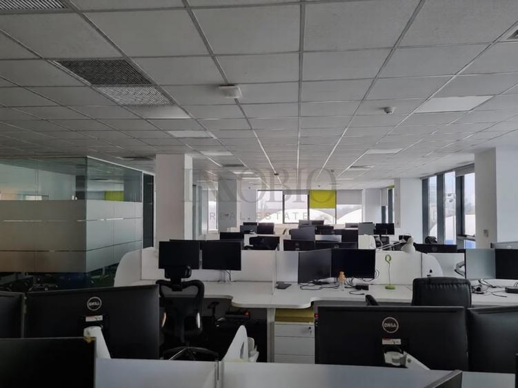 Birou Open-Space  | 132 MP | Promenada Mall
