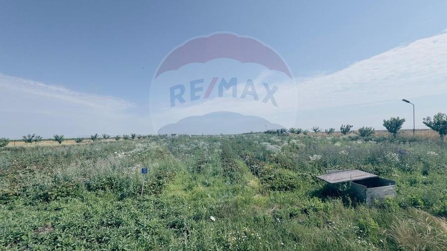 Teren agricol 16.750mp în Cârcea, imprejmuit, cultura capsuni, solarii