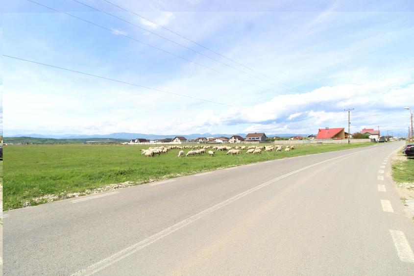 Teren construibil, strada principalǎ, 564 mp, Prelungirea Panduri
