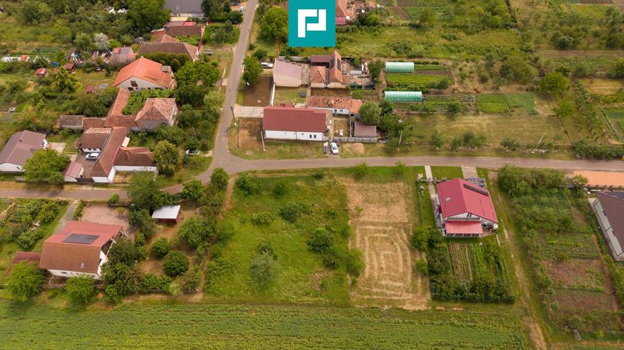 Teren intravilan de 596mp în Cicir, Vladimirescu