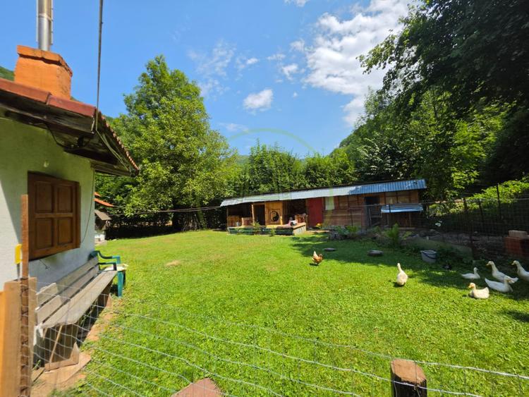 PROPRIETATE EXTRAORDINARĂ– LOTRIOARA, JUDEȚUL SIBIU!