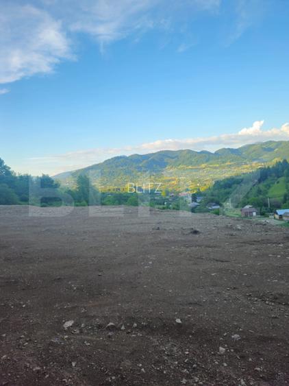 Teren de vanzare, 10.000 mp - Bistrita Bargaului, zona turistica - 8