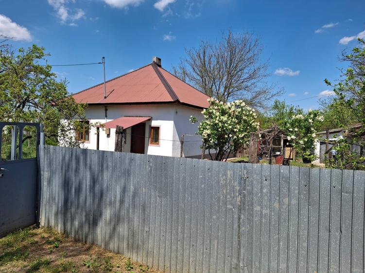 Vanzare casa 4 camere Tamadau Mare - Calarasi