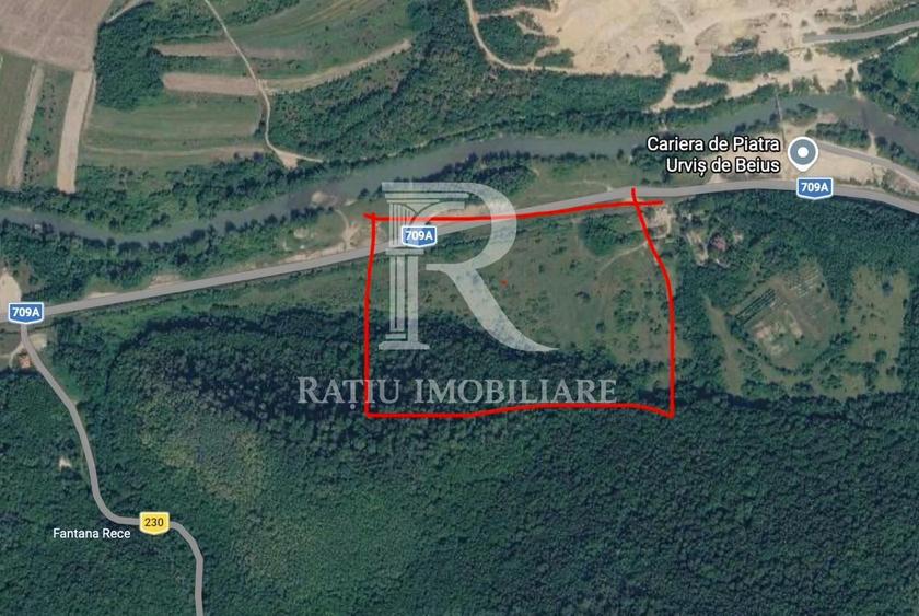 Teren Extravilan de vânzare | Proiect | Șoimi | Bihor