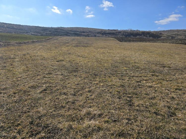 Teren de 10.100 mp, zona de case, in Valea Chintaului