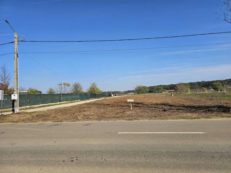 Teren intravilan de vanzare in Izvorani | Loturi de 500 mp si 1500 mp