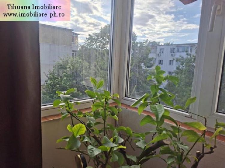 Apartament 2 camere de vanzare : Vest-(Cosminele)
