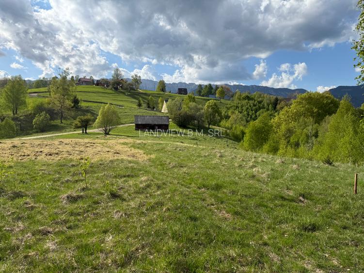 Teren intravilan 1000 mp in satul Pestera, Comuna Moieciu la 12 km de Bran - 12