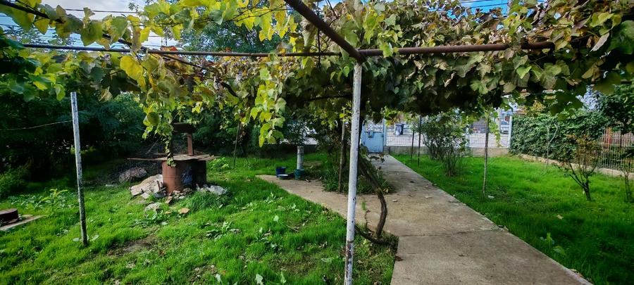 Teren vânzare zona Viile Noi