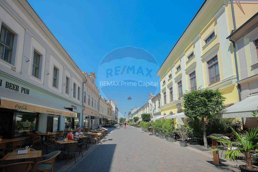 De vânzare — Spațiu comercial parter 409 mp, Vasile Alecsandri - 17