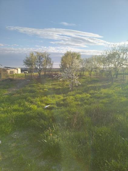 Vand casa cu teren generos in zona Baile 1Mai