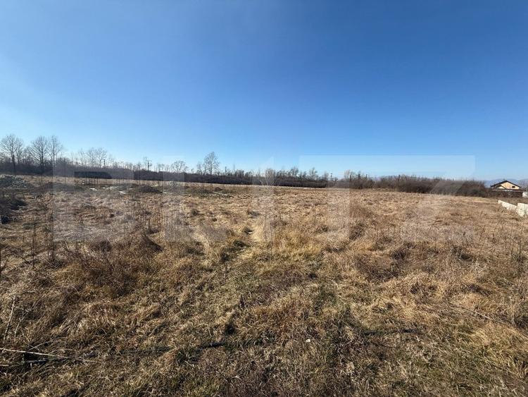 Teren Intravilan de vanzare, 2.574 mp, zona Dragutesti