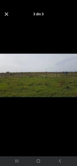 Teren Intravilan Paleu 1025 mp