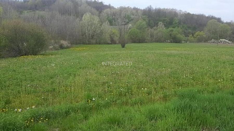 Teren agricol- 3150 mp parțial intravilan | Mădulari, Vâlcea - 2
