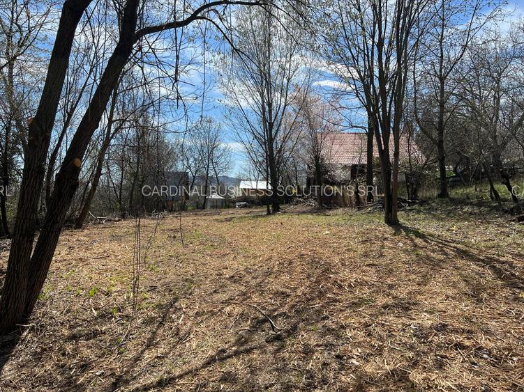 Breaza - str.Plaiului, Coasta Berzei nr.54, teren 1600 mp - 9