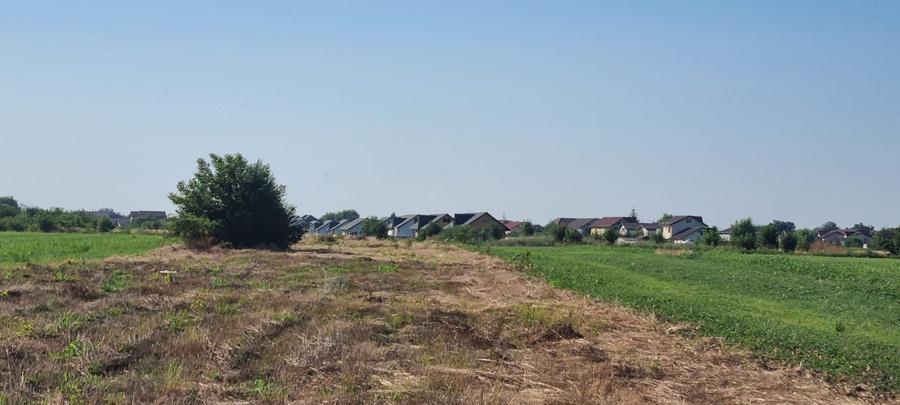 Teren intravilan 2.000 mp, două loturi construibile – Darvari, Ciorogârla