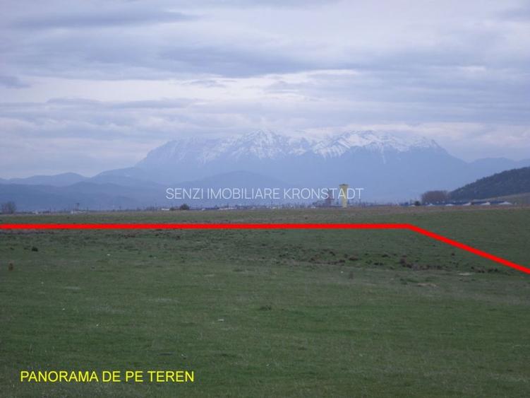 Teren ideal ferma, pt dezvoltare agricola, proiect fotovoltaice - 7