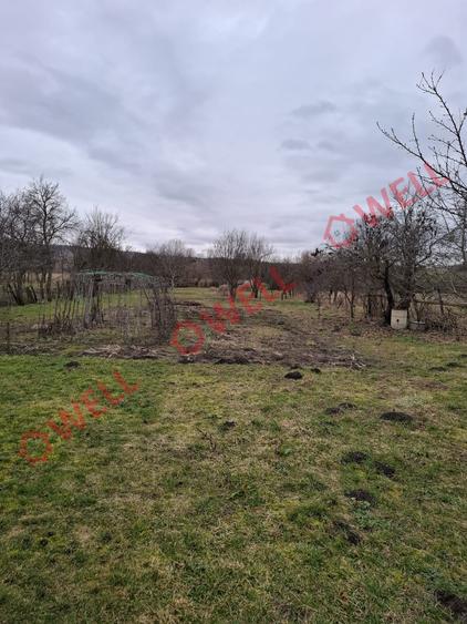 🏡 Casă de vânzare în Mitrești
