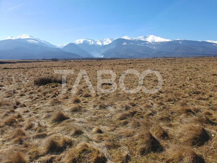 Teren extravilan in suprafata de 1000 mp pretabil pentru afacerea ta