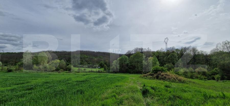 PADURE SALCAM, 120000mp, BRADESTI - 3